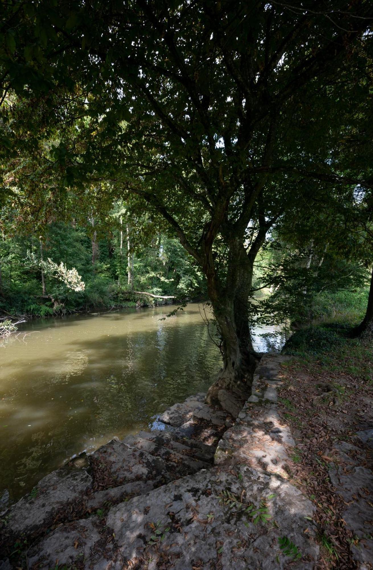 Vila L'Arche De Noe Dinant Exteriér fotografie